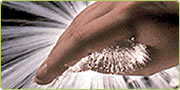 Fiber Optics